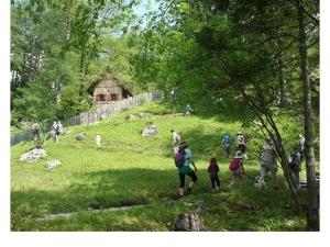 Uspešen 7. Dan Alpske konvencije 9